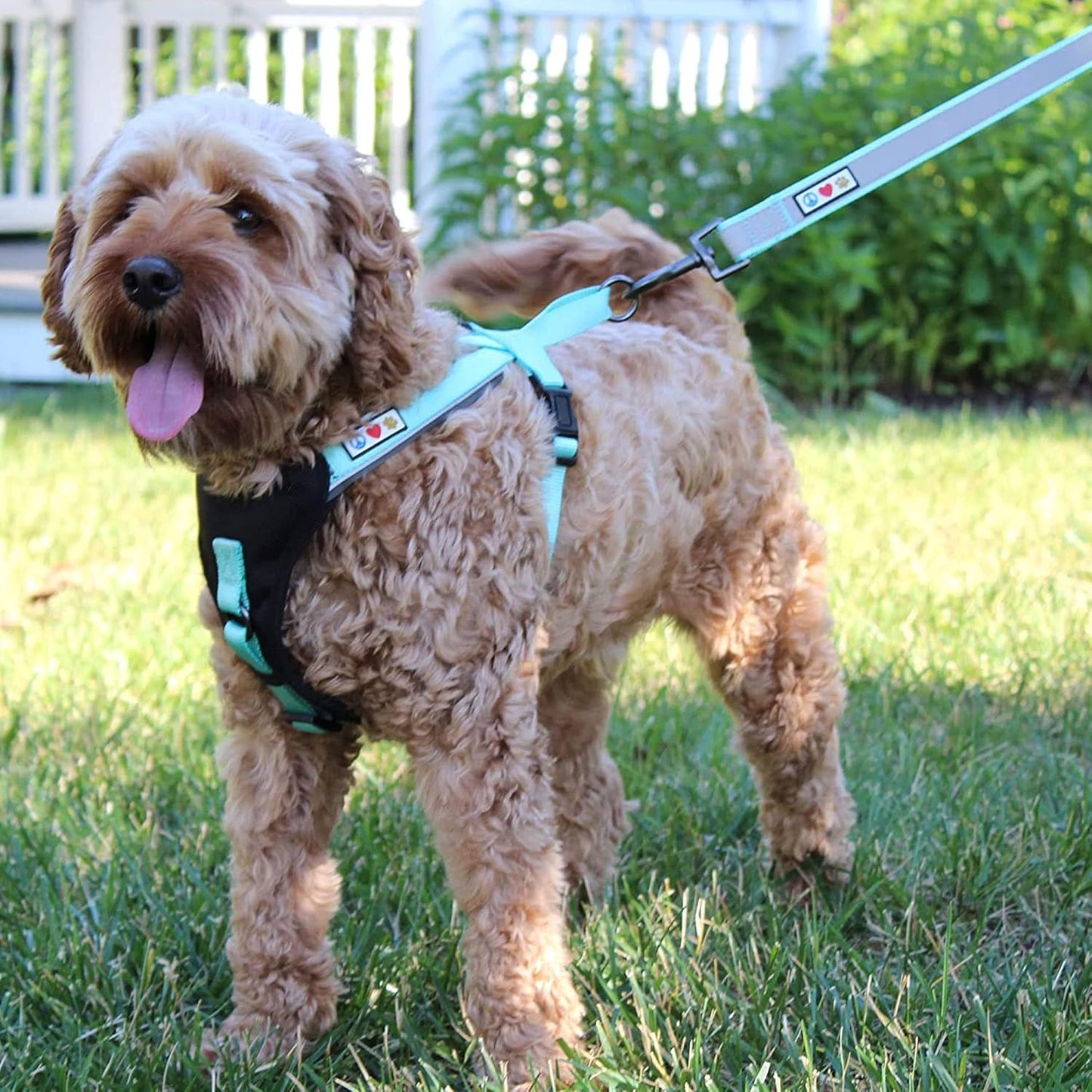 Customizable 6 Ft Black Dog Leash with Reflective Features and Padded Handle for Dogs and Puppies - Embroidered Name and Phone Number