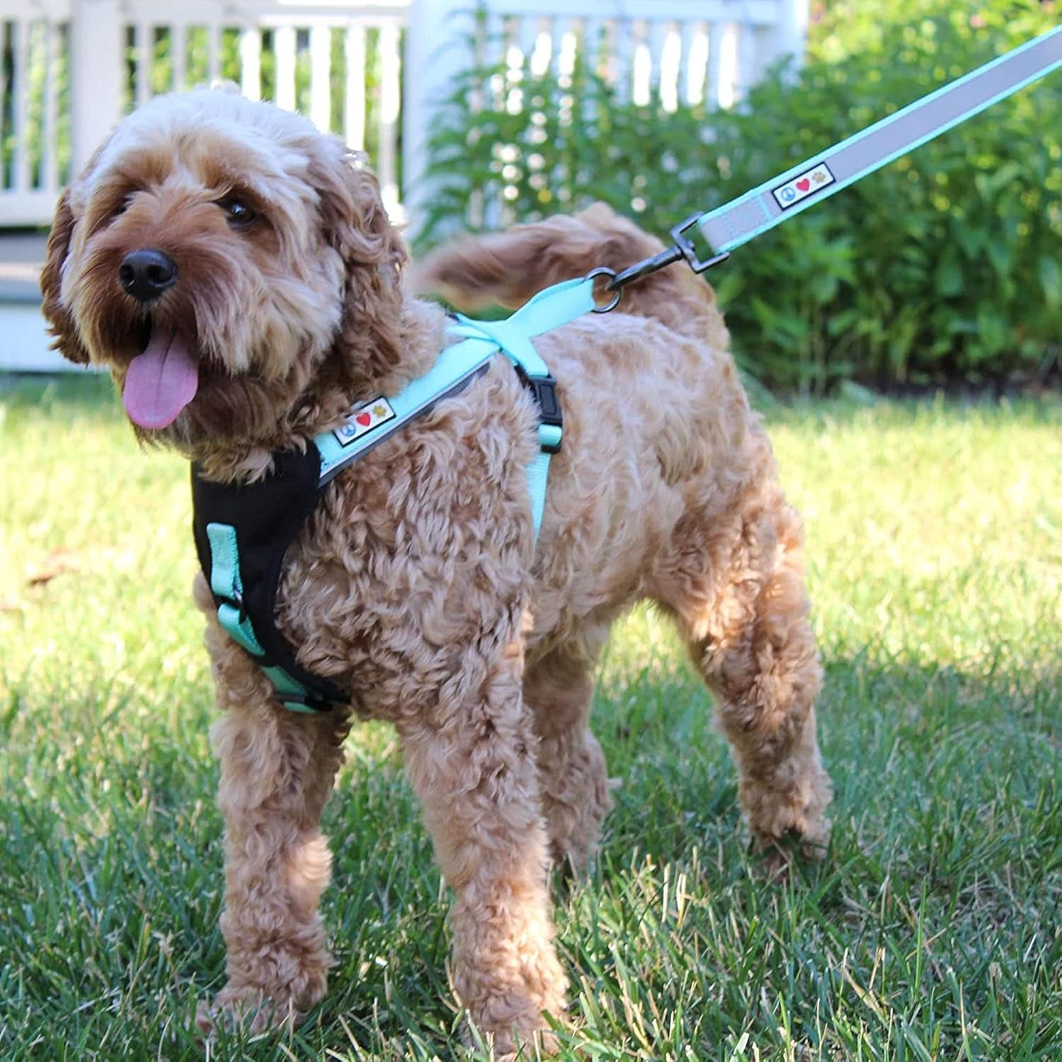 Customizable 6 Ft Black Dog Leash with Reflective Features and Padded Handle for Dogs and Puppies - Embroidered Name and Phone Number
