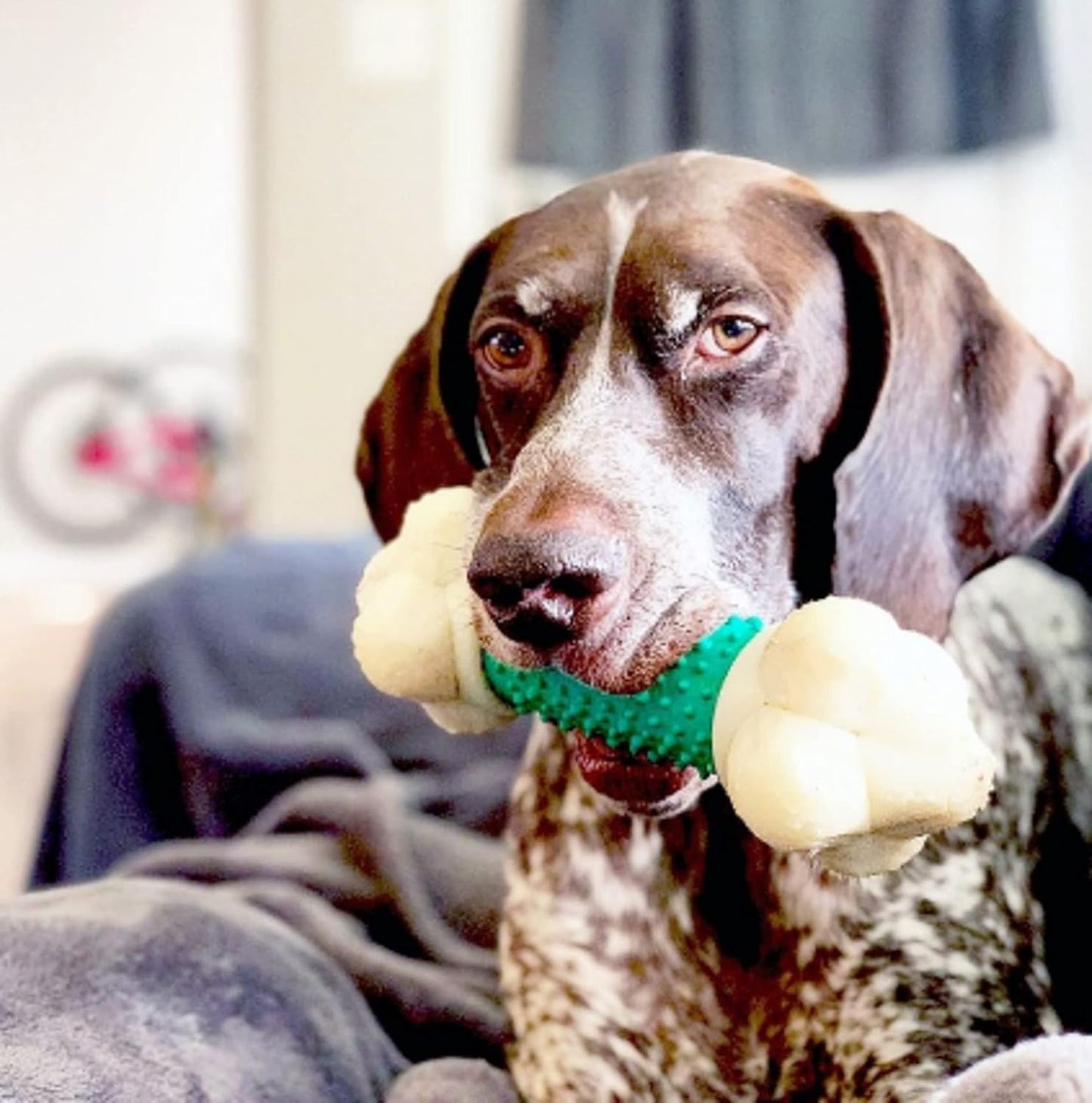 Power Chew Double Action Barbell Bone Dog Chew Toy - X-Large | Durable Chew Toy for Large Breeds (50+ lbs) with Teeth-Cleaning Textures, Long-Lasting Design to Discourage Destructive Chewing