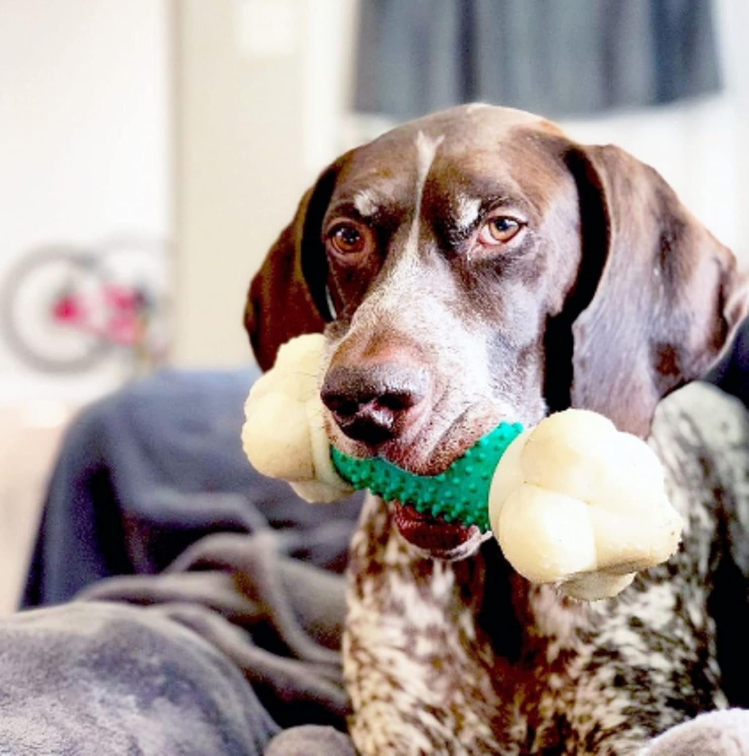 Power Chew Double Action Barbell Bone Dog Chew Toy - X-Large | Durable Chew Toy for Large Breeds (50+ lbs) with Teeth-Cleaning Textures, Long-Lasting Design to Discourage Destructive Chewing