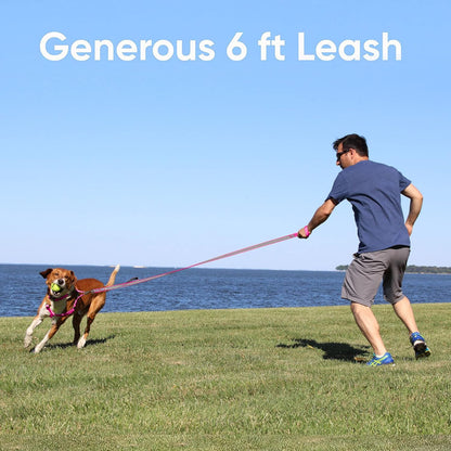 Customizable 6 Ft Black Dog Leash with Reflective Features and Padded Handle for Dogs and Puppies - Embroidered Name and Phone Number