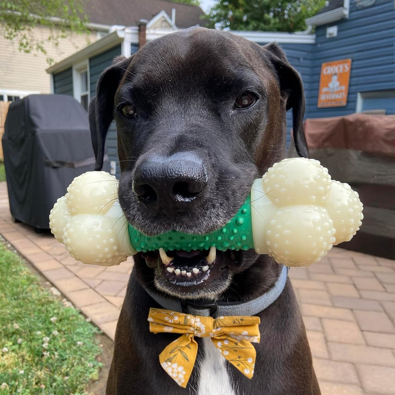Power Chew Double Action Barbell Bone Dog Chew Toy - X-Large | Durable Chew Toy for Large Breeds (50+ lbs) with Teeth-Cleaning Textures, Long-Lasting Design to Discourage Destructive Chewing